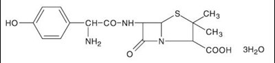 Image Of Amoxicillin Chemical Structure (Amoxicillin Chemical Structure)